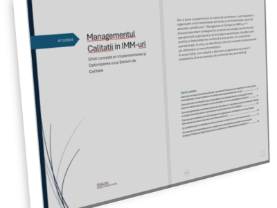 Managementul Calității în&nbsp;IMM-uri