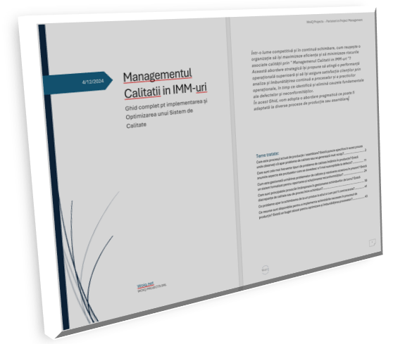 Managementul Calității în&nbsp;IMM-uri